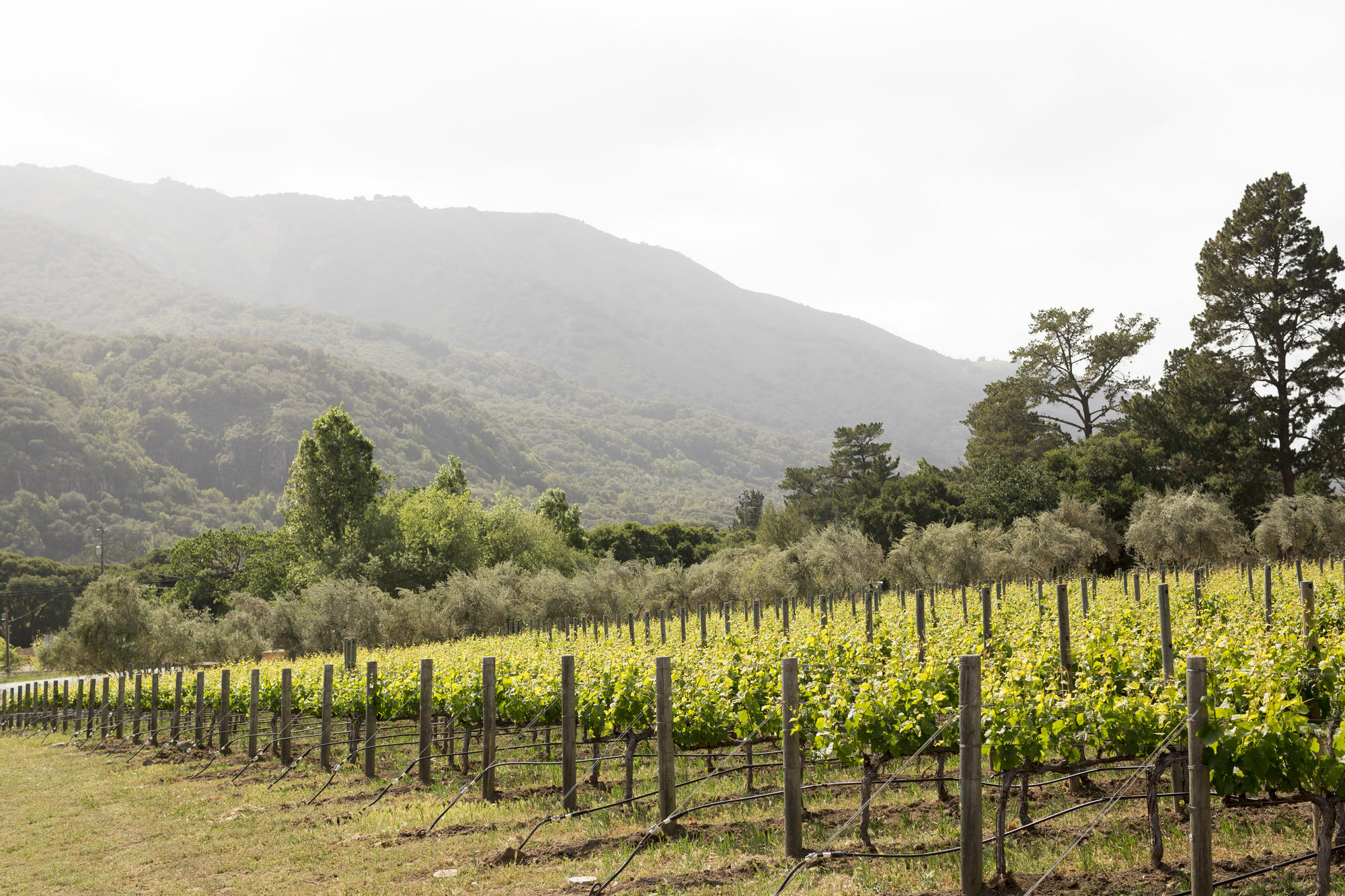 Bernardus Lodge & Spa Carmel Valley Zewnętrze zdjęcie